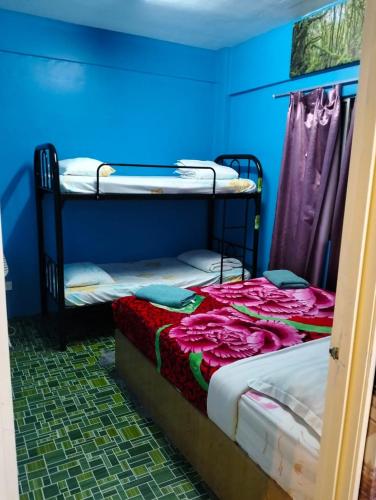 2 stapelbedden in een kamer met een blauwe muur bij Orchid Haven islamic Homestay in Tanah Rata