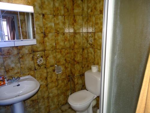 y baño con aseo y lavamanos. en Room in Apartment - Condo Gardens Leuven - Student Studio Single, en Lovaina