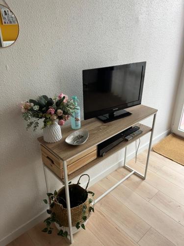 einen Fernseher auf dem Tisch mit Blumen darauf in der Unterkunft Studio Roma in Straßburg