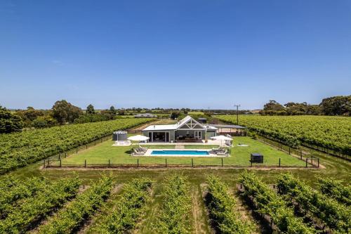 an aerial view of a farmhouse in a vineyard at Pethick House in McLaren Vale