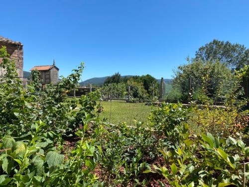 a garden with a field in the background at CASA do CAMPO Lestrove in Padrón
