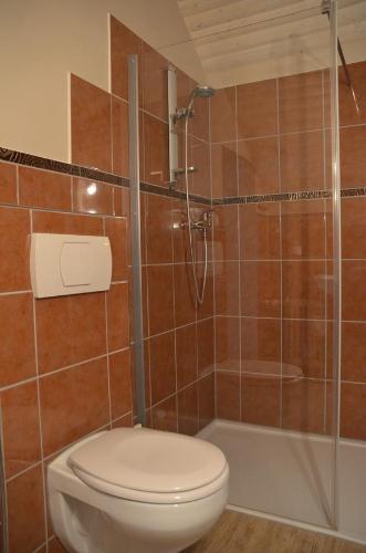 a bathroom with a toilet and a shower at Ferienwohnung Stübchen in Salmtal