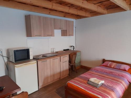 eine kleine Küche mit einem Bett in einem Zimmer in der Unterkunft Alpaka-Ranczo AFF in Puławy
