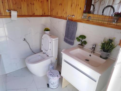 a bathroom with a toilet and a sink at Traditional house in pelendri in Limassol