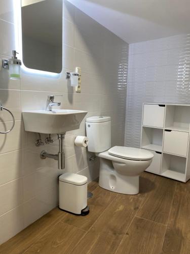 a bathroom with a toilet and a sink at CASA do CAMPO Lestrove in Padrón
