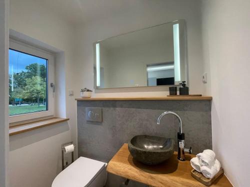 a bathroom with a sink and a toilet and a mirror at Alte Zahnstation Laußnitz in Laußnitz