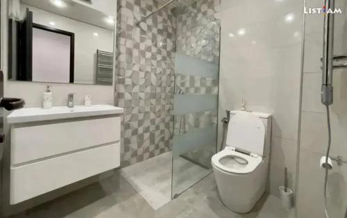 a bathroom with a toilet and a sink and a shower at APARTMENT in Yerevan,Komitas Avenue in Yerevan