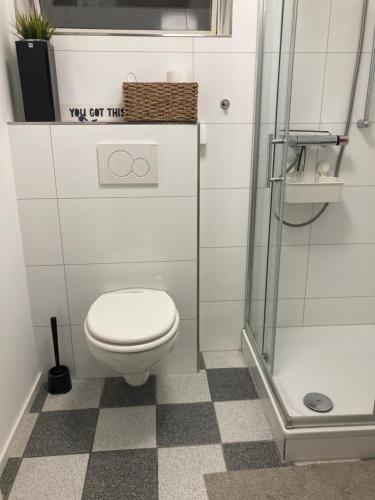 a bathroom with a toilet and a shower at Ferienwohnung Green Village in Menden