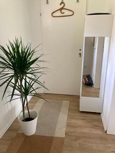 a potted plant sitting on the floor in a room at Ferienwohnung Green Village in Menden