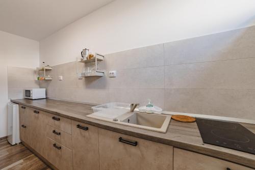 Kuhinja ili čajna kuhinja u objektu Zorilor Garden Duplex