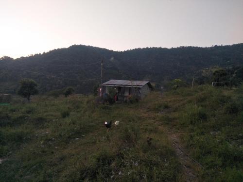 a shack in the middle of a grassy field at Pame Farm Stay in Pokhara