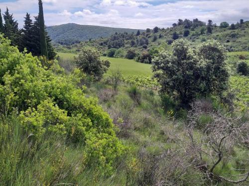 Gambar di galeri bagi Gite dans les collines di Montirat