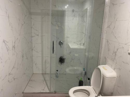 a bathroom with a shower with a toilet and a sink at Summer Inn City Accommodation in Melbourne