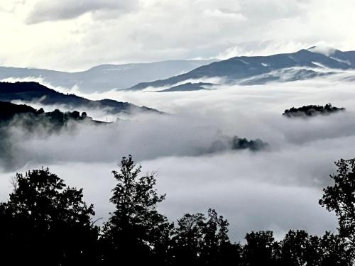 un mare di nebbia tra le montagne con gli alberi di B&B Casa dei Cuori - Natura, Silenzio, relax a 550 m di quota a Langhirano