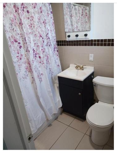 uma casa de banho com um WC, um lavatório e uma cortina de chuveiro em Cozy 2 bedrooms and a Yard em Brooklyn