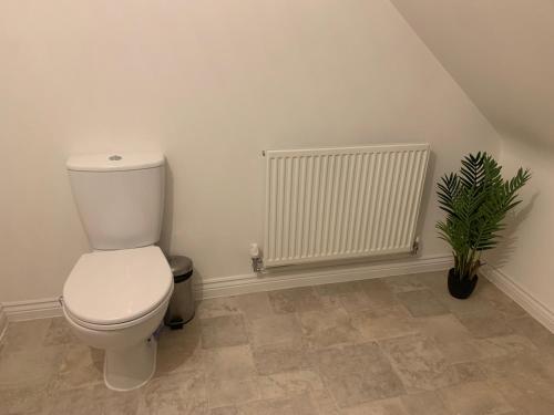 een badkamer met een toilet en een potplant bij Comfy double Bedroom in Greater Manchester in Manchester