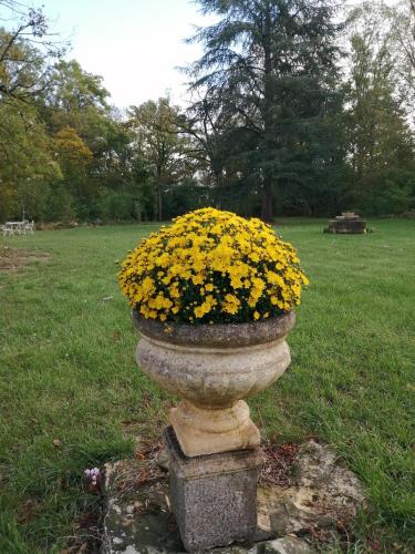 Domaine de Préfond – Photos 3