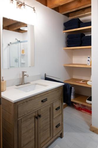a bathroom with a sink and a mirror at earthship forest exile in Temple