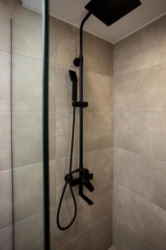 Dialeti Loft Apartment