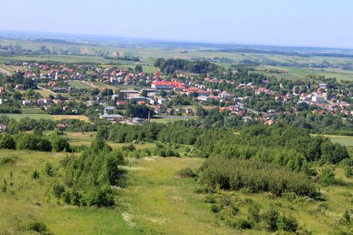 a view of a village from a hill at Farma Albert Korzenie in Pruchnik-Miasto