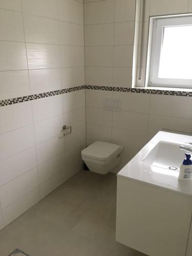 a bathroom with a toilet and a sink and a window at 2 Zimmer Traum mit Terrasse am Kocher Jagst Radweg nähe Heilbronn in Bad Friedrichshall