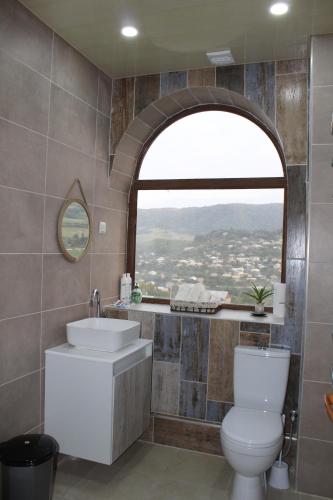 een badkamer met een toilet, een wastafel en een raam bij Bears and Berries in Berd
