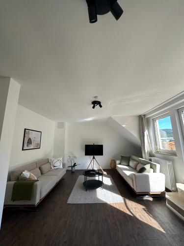 a living room with two couches and a television at Apartment am Kurpark mit traumhafter Terrasse in Bad Ems