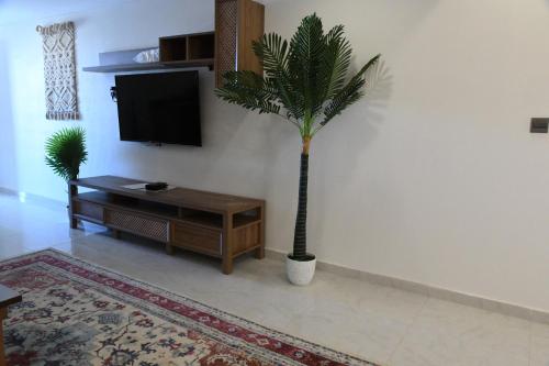 a living room with a tv and a palm tree at YM Resort in Yanbu