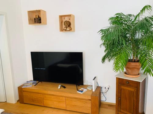 TV a/nebo společenská místnost v ubytování Casa Restelli EG - nahe Andermatt Gotthard