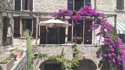Κήπος έξω από το CASA JOHANNA