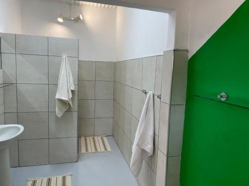 a bathroom with a shower with a green door at The Farm Shop in Groutfontein