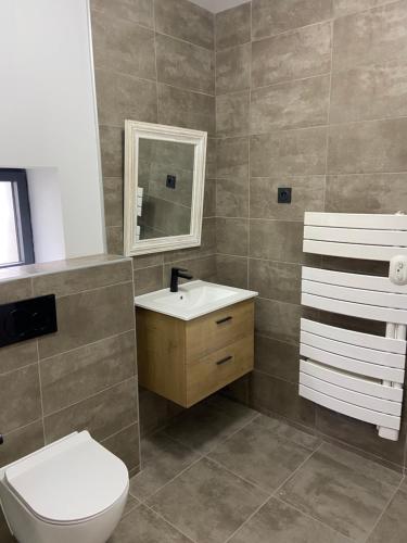 een badkamer met een toilet, een wastafel en een spiegel bij Mas Bô Regard in Aiguèze