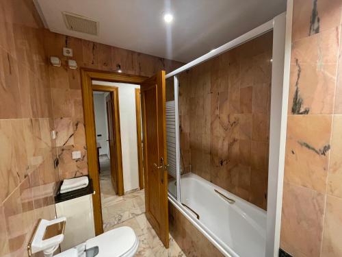 a bathroom with a toilet and a tub and a sink at Alojamientos Palmones in Córdoba