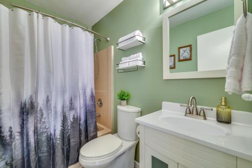 y baño con aseo, lavamanos y cortina de ducha. en Forest-View Poconos Cabin with Hot Tub!, en East Stroudsburg