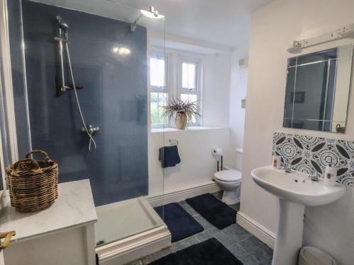 a bathroom with a shower and a toilet and a sink at Kestrel Cottage in Keswick