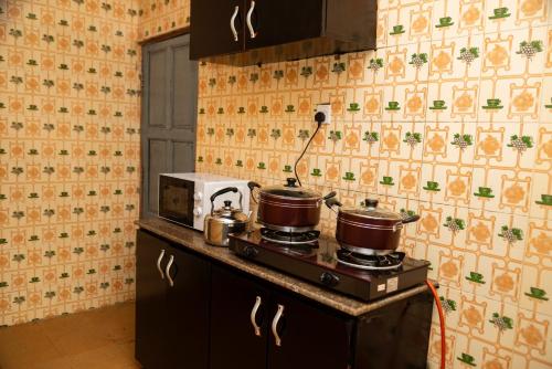 a kitchen with two pots on a stove at Budget Bliss Suites in Benin City