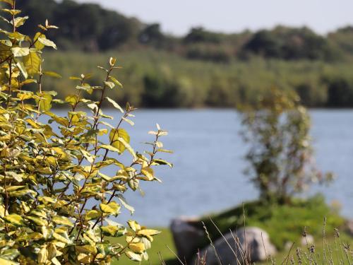 Φυσικό τοπίο κοντά σε αυτή η παραθεριστική κατοικία