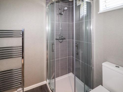 a bathroom with a shower with a toilet at 28 Delamere Point in Northwich
