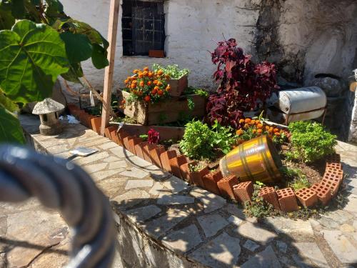 un giardino con fiori e un barile su un muro di KOSTITSIS VIEW a Kostitsi