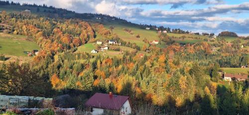 mały domek na wzgórzu z opadającymi drzewami w obiekcie Agroturystyka Koronkowe Zacisze w mieście Koniaków