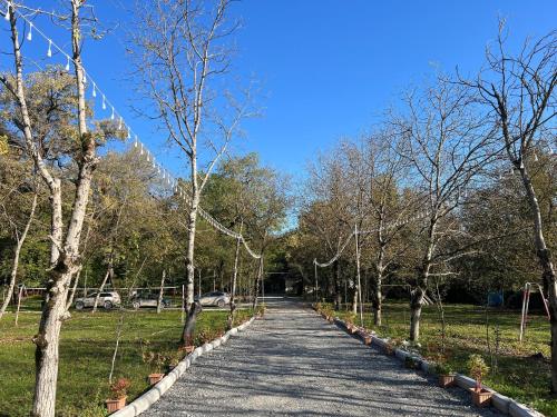 Fotografie z fotogalerie ubytování Topchu Forest Ismayilli v destinaci Topçu