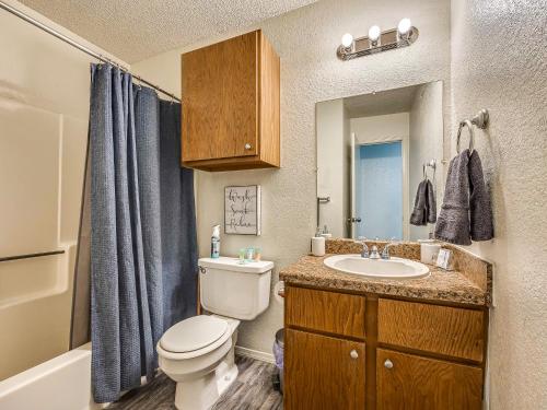 a bathroom with a toilet and a sink and a mirror at OU Boomer, Pool & Gym, BBQ, Roku TVs, 100mb Internet, Washer & Dryer, just one mile to OU! in Norman