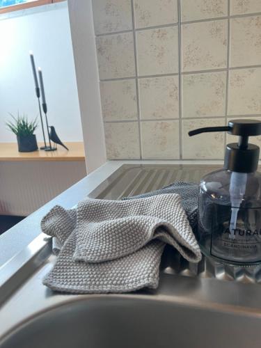 um lavatório de cozinha com uma garrafa de sabão e uma toalha em Appartement Stahlhammer em Flachau