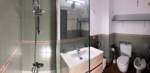 a bathroom with a shower and a sink and a toilet at Plaza Andalucia Edificio Dornajo 215 in Sierra Nevada
