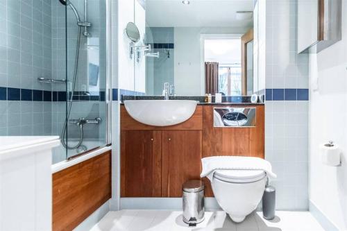 uma casa de banho com um lavatório, um WC e um chuveiro em Grand Canal 2 Bedroom Flat em Dublin