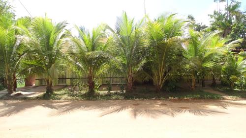 TSANKARA – Photos 2