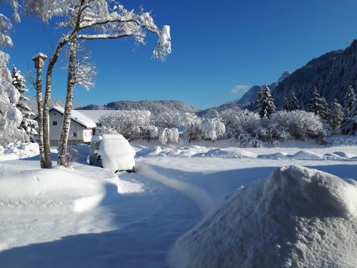a snow covered yard with a tree and a house at Ferienwohnung Achselkopf in Musau