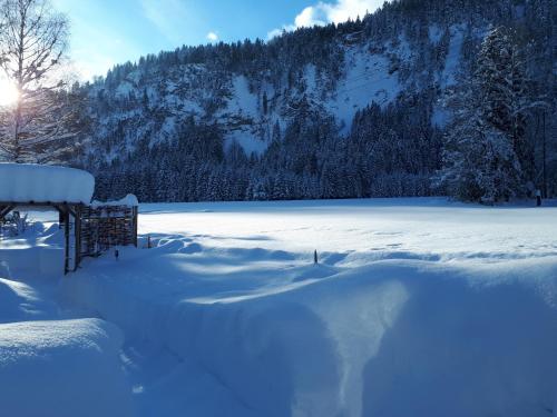 a snow covered field with a lake in the background at Ferienwohnung Achselkopf in Musau