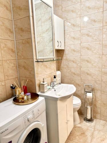 un bagno con lavatrice e lavandino di Studio - CLASSIC - a Alba Iulia