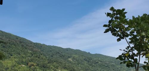 auliculiculiculiculiculiculiculiculiculiculiculiculiculiculic at Khee Homestay in Kurseong